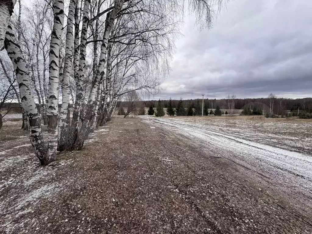 Участок в Калужская область, Жуковский муниципальный округ, д. ... - Фото 1