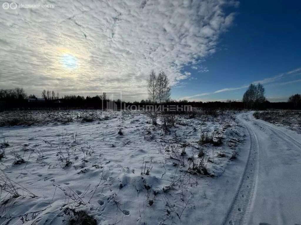 Участок в муниципальное образование Новосельское, село Русино (15 м) - Фото 1