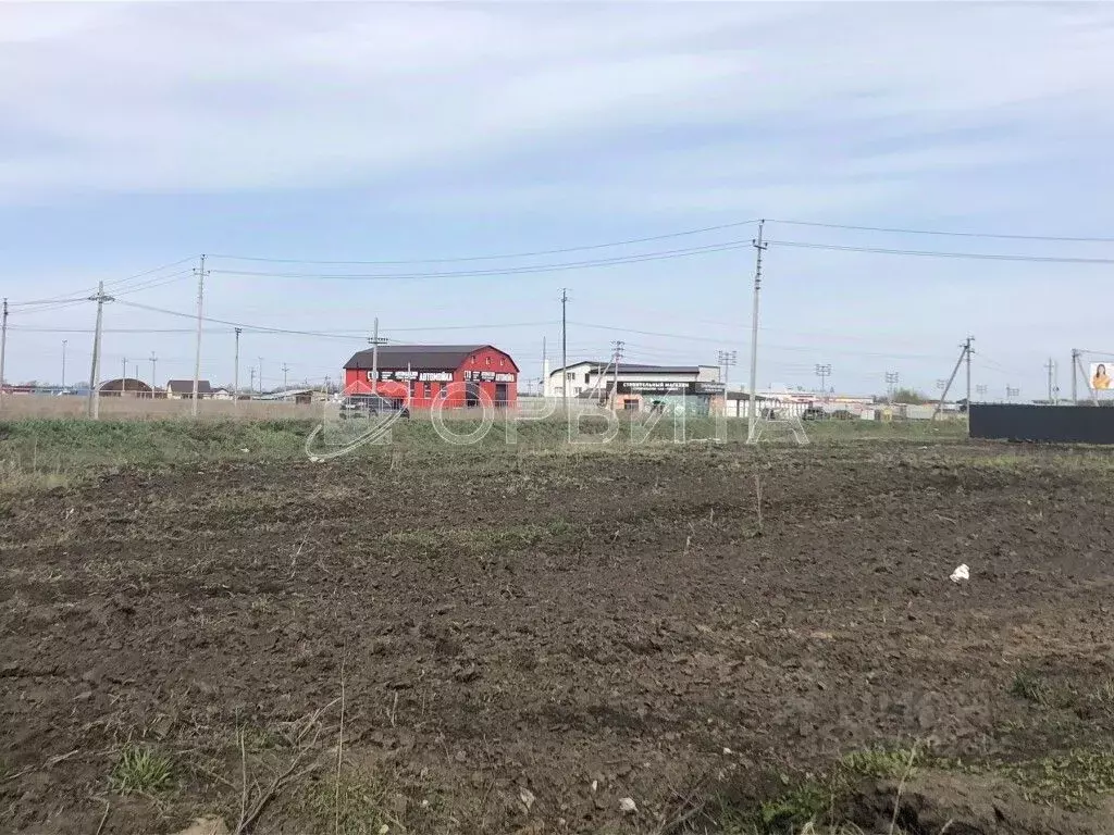 Участок в Тюменская область, Тюменский муниципальный округ, с. ... - Фото 1