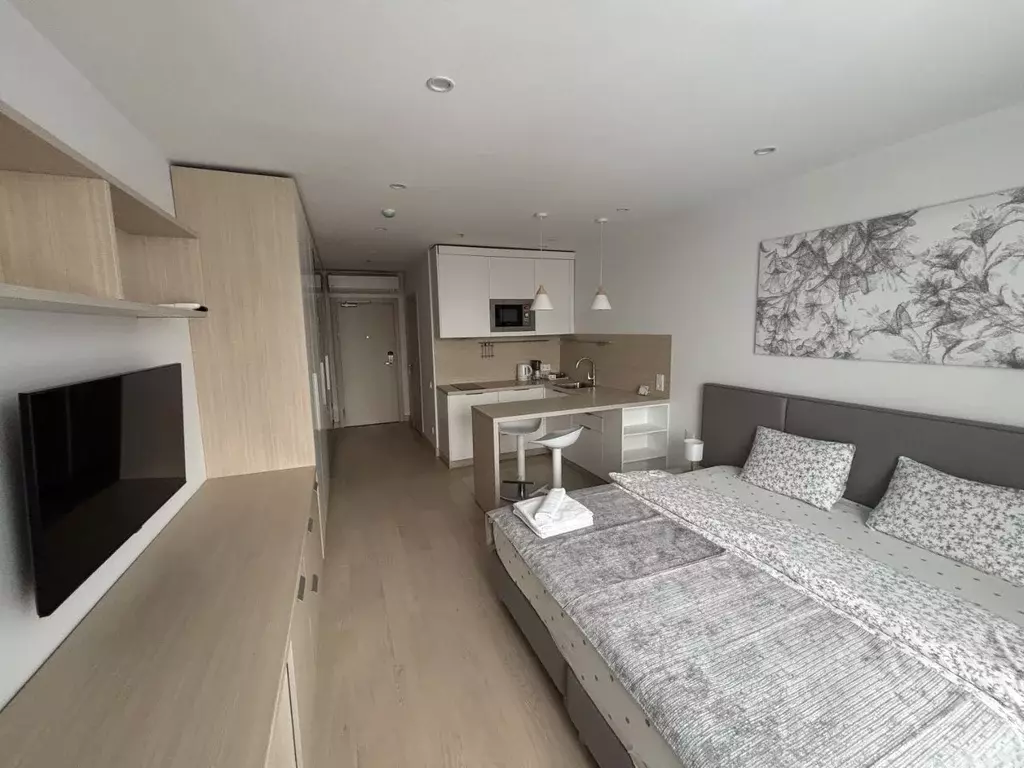 Студия Москва ул. 1-я Леонова, 18 (27.0 м) - Фото 1