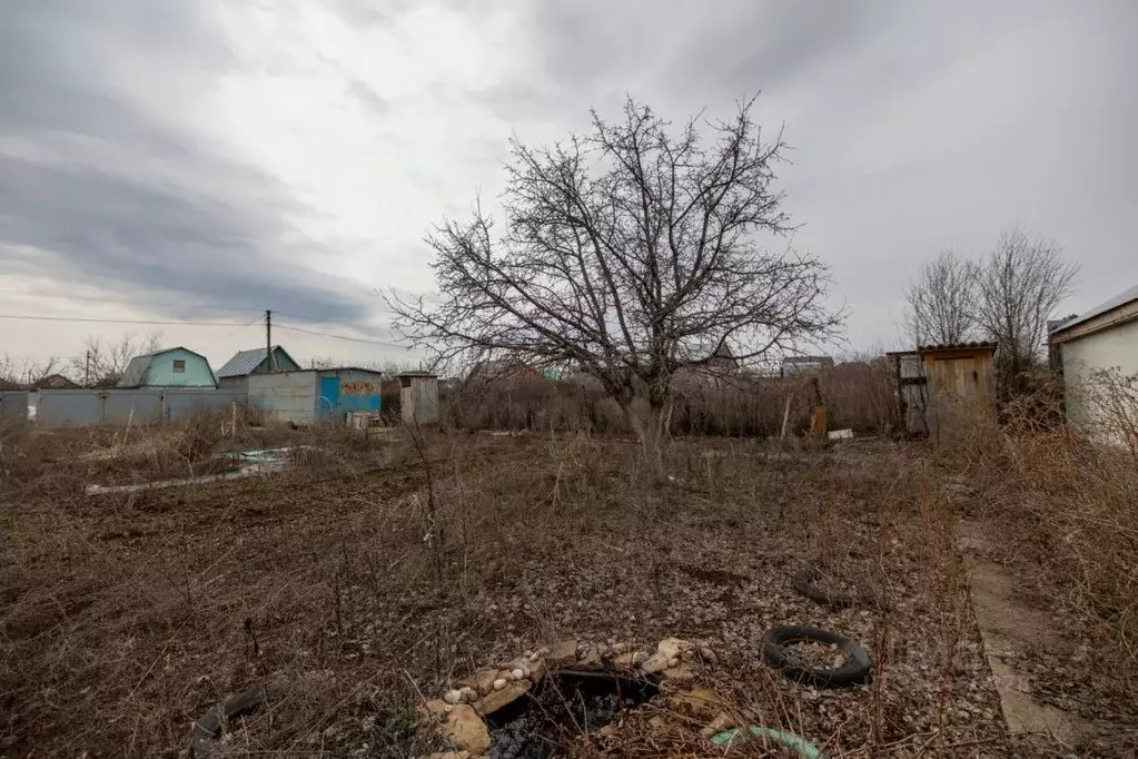 Участок в Оренбургская область, Оренбургский район, Ленинский ... - Фото 2