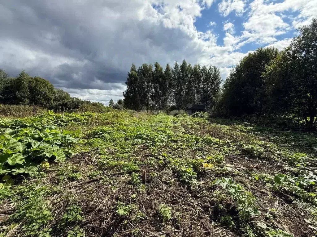 Участок в Ярославская область, Ярославский муниципальный округ, д. ... - Фото 0