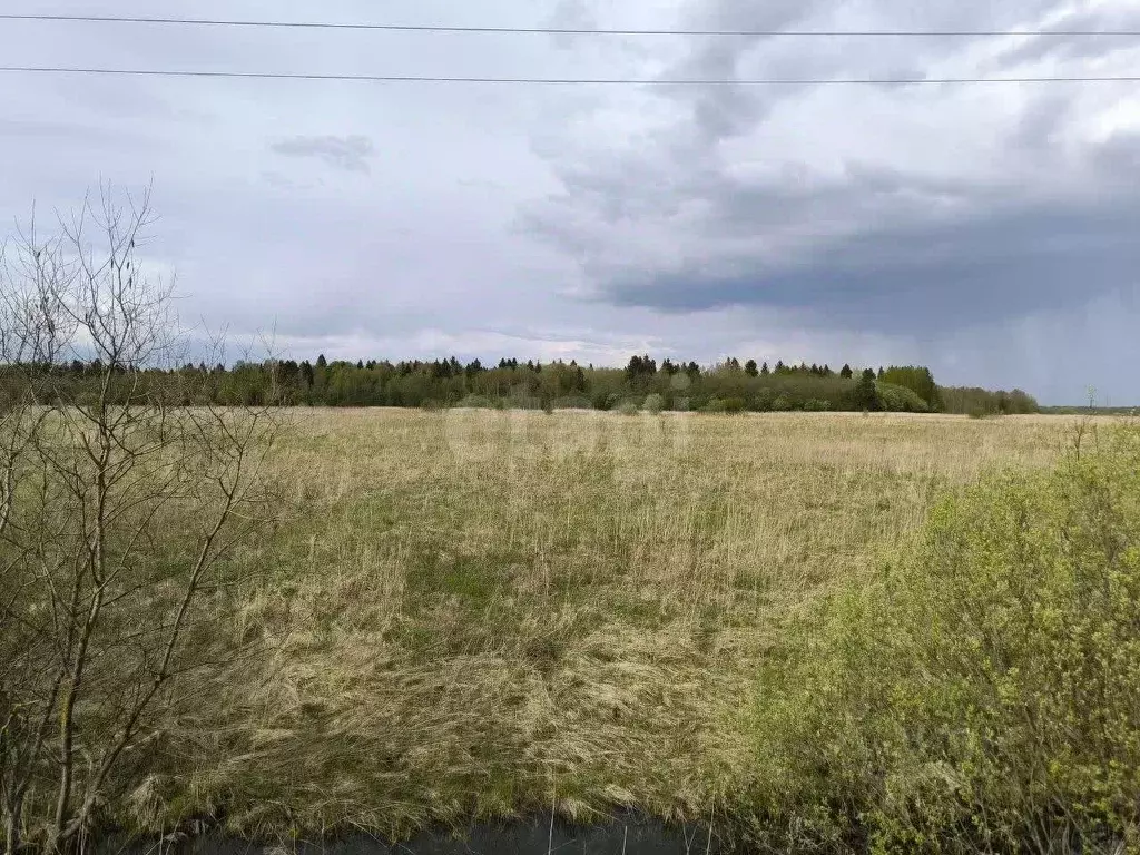 Участок в Ярославская область, Ярославский муниципальный округ, ... - Фото 1