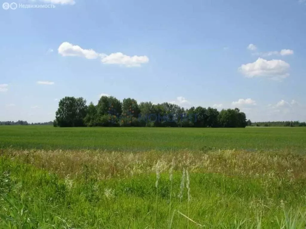 Участок в Безводное, Мирная улица (10 м) - Фото 2