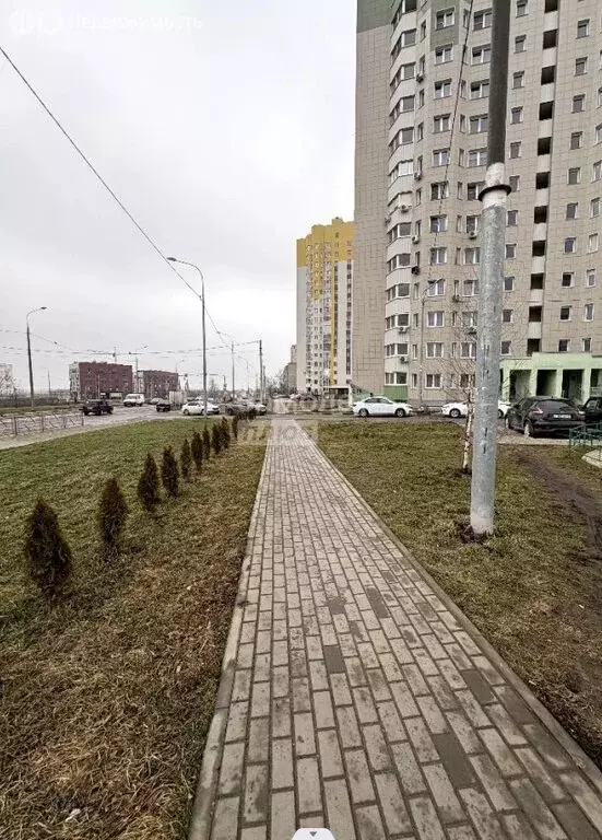 Помещение свободного назначения (44 м) - Фото 1