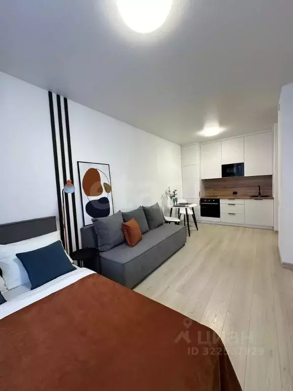 Студия Тюменская область, Тюмень ул. Алматинская, 6 (26.3 м) - Фото 2