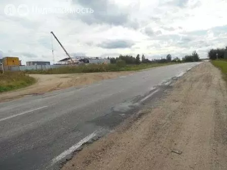 Участок в Смоленский муниципальный округ, деревня Лубня (19 м) - Фото 0