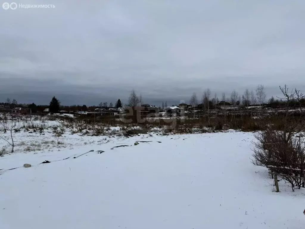 Участок в село Толмачево, улица Ромашина (15 м) - Фото 2