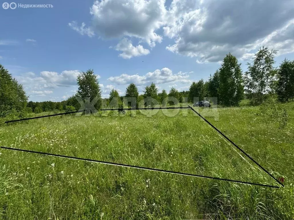 Участок в Каменский сельсовет, ДНТ Каменский Оазис, Весенняя улица (8 ... - Фото 1