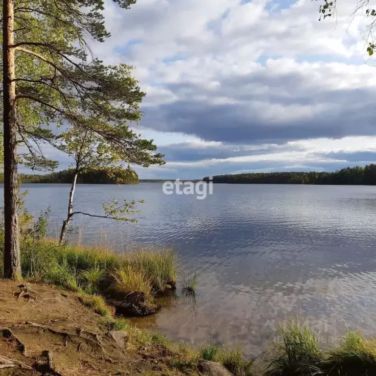 Участок в Ленинградская область, Выборгский район, Красносельское ... - Фото 0