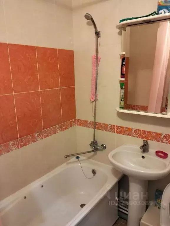 1-к кв. Московская область, Сергиево-Посадский городской округ, с. ... - Фото 2