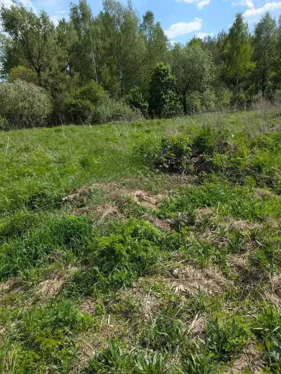 Участок в Владимирская область, Судогодский район, Вяткинское ... - Фото 1