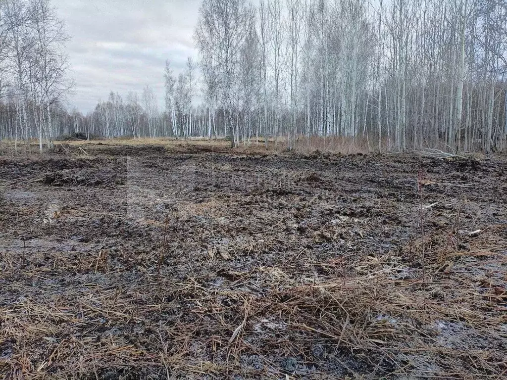 Участок в Тюменская область, Нижнетавдинский муниципальный округ, ... - Фото 1
