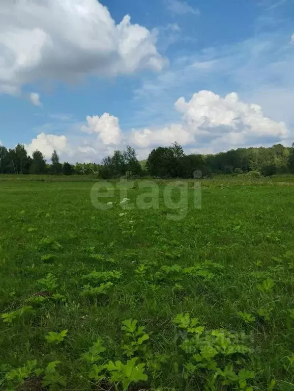 Участок в Калужская область, Малоярославецкий муниципальный округ, ... - Фото 2