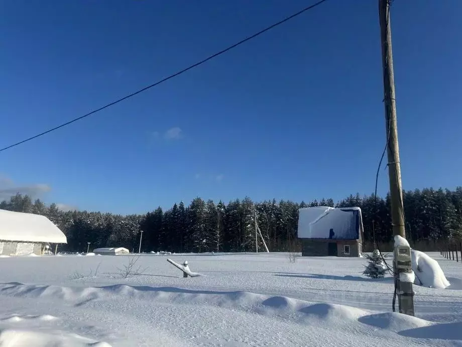 Участок в Пермский край, Березники ул. Жемчужная, 10 (15.0 сот.) - Фото 1