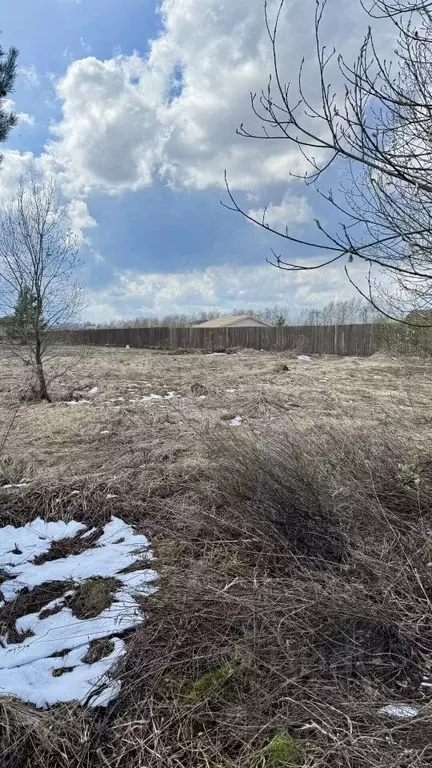 Участок в Нижегородская область, с. Безводное ул. Светлая (15.83 сот.) - Фото 1