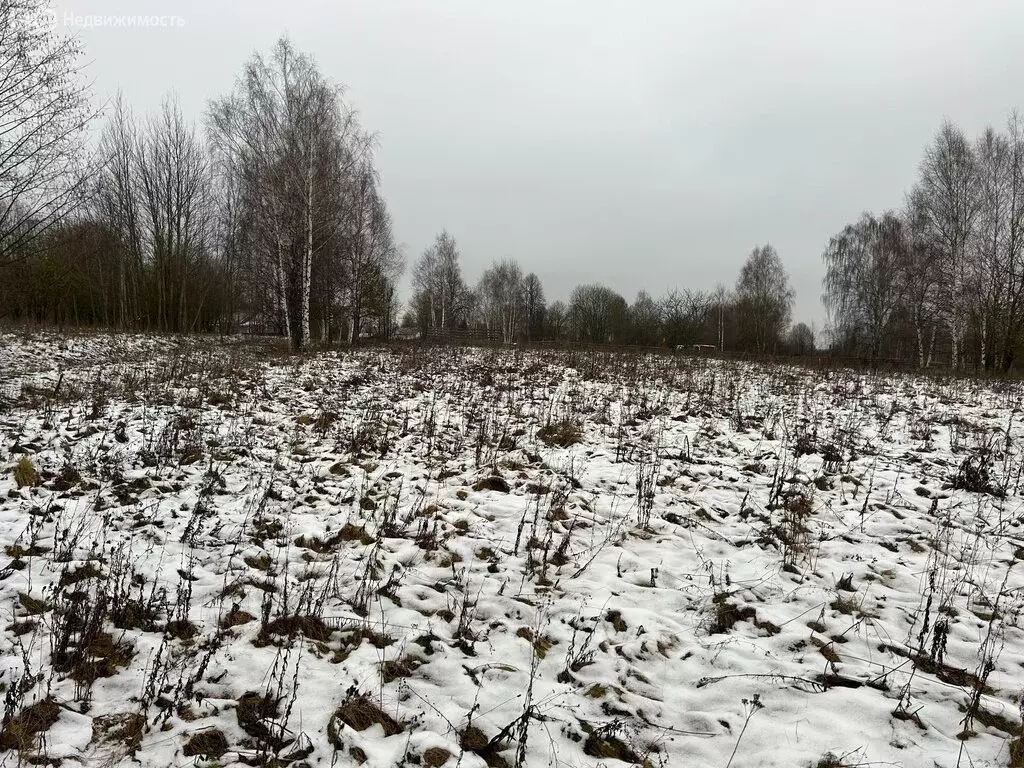 Участок в Киржачский район, муниципальное образование Кипревское, ... - Фото 0