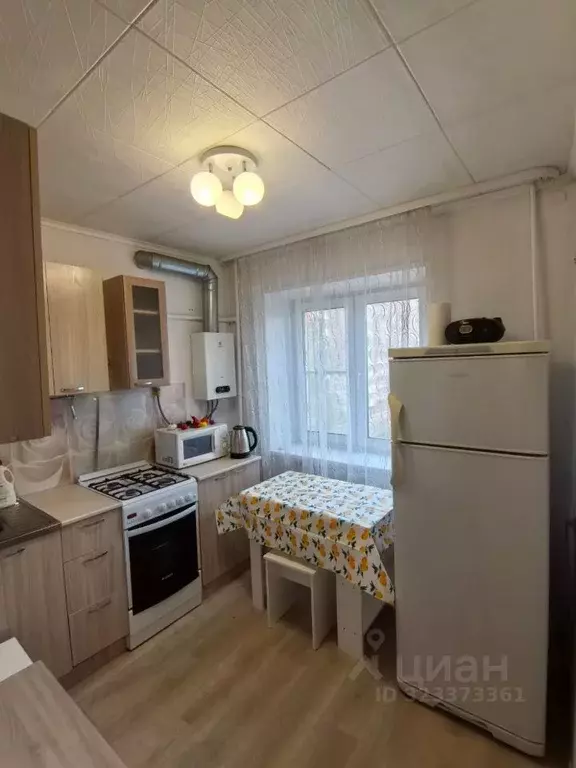 1-к кв. Рязанская область, Рязань Октябрьская ул., 45 (32.0 м) - Фото 2