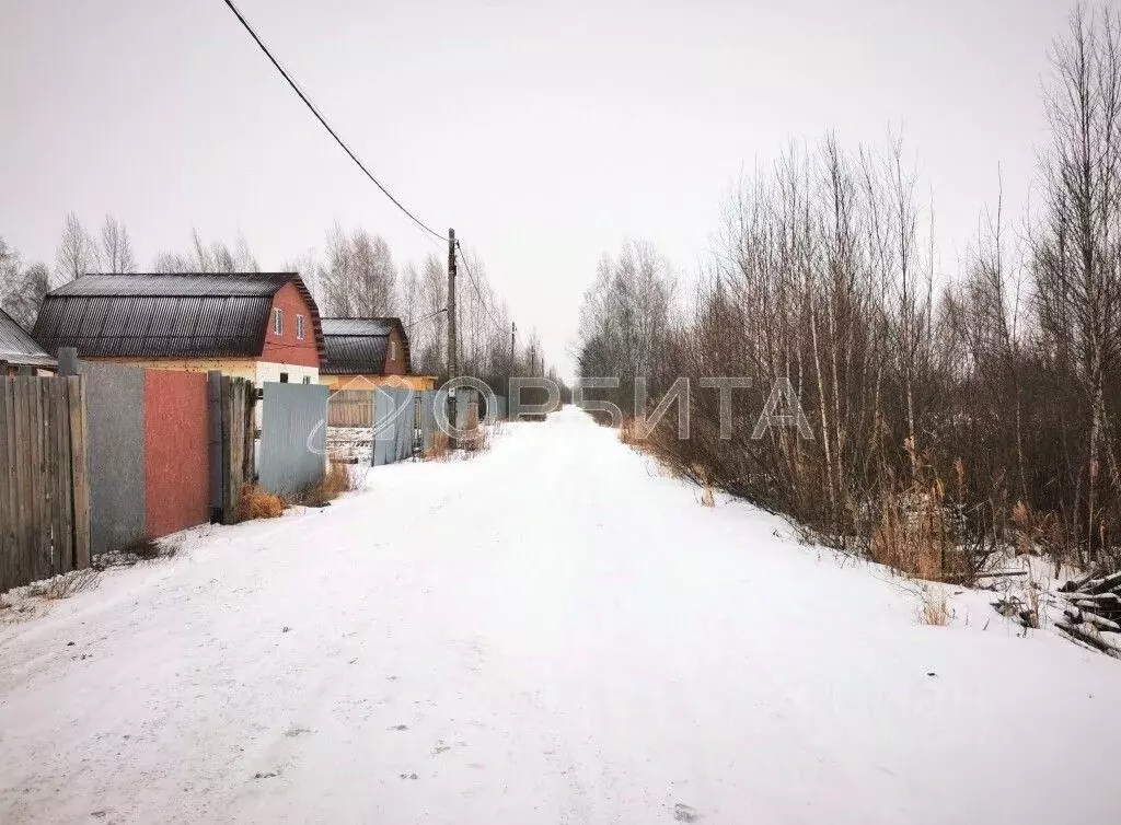 Участок в Тюменская область, Тюмень СОСН Березка-3 тер., ул. 15-я (7.8 ... - Фото 1
