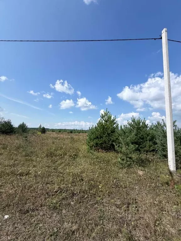 Участок в Кировская область, Слободской район, Бобинское с/пос, д. ... - Фото 1