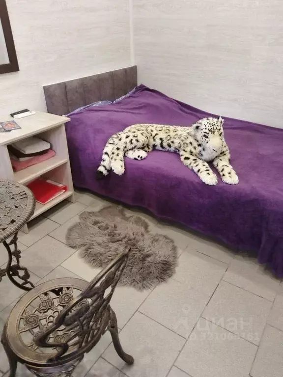 Комната Краснодарский край, Ейск ул. Калинина, 20 (25.0 м) - Фото 1