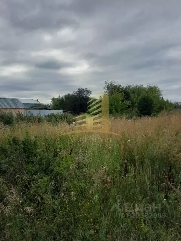 Участок в Новосибирская область, Новосибирский район, Морской ... - Фото 2