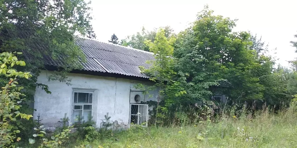 Помещение свободного назначения в Ярославская область, Борисоглебский ... - Фото 1
