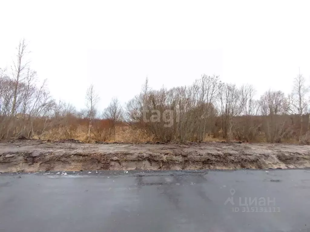 Участок в Ленинградская область, Всеволожск ул. Андрея Молчанова (6.5 ... - Фото 1