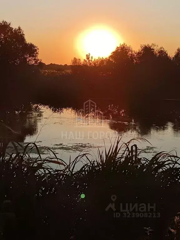 Участок в Тамбовская область, Тамбовский муниципальный округ, пос. ... - Фото 1