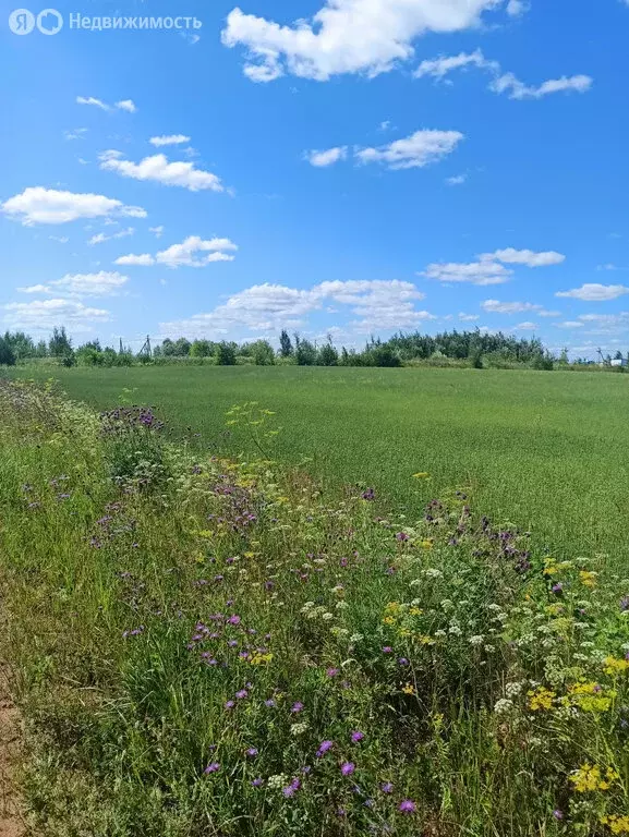 Участок в Ленинское сельское поселение, деревня Сунцовы (473.23 м) - Фото 2