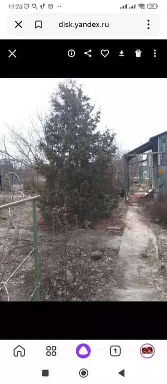 Дом в Татищевский район, Сторожевское муниципальное образование, ... - Фото 0