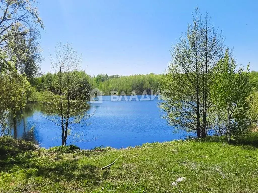 Участок в Татарстан, Зеленодольский район, Айшинское с/пос, пос. Нарат ... - Фото 2