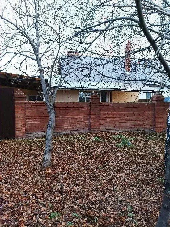 Дом в Самарская область, Ставропольский район, с. Тимофеевка ул. ... - Фото 1