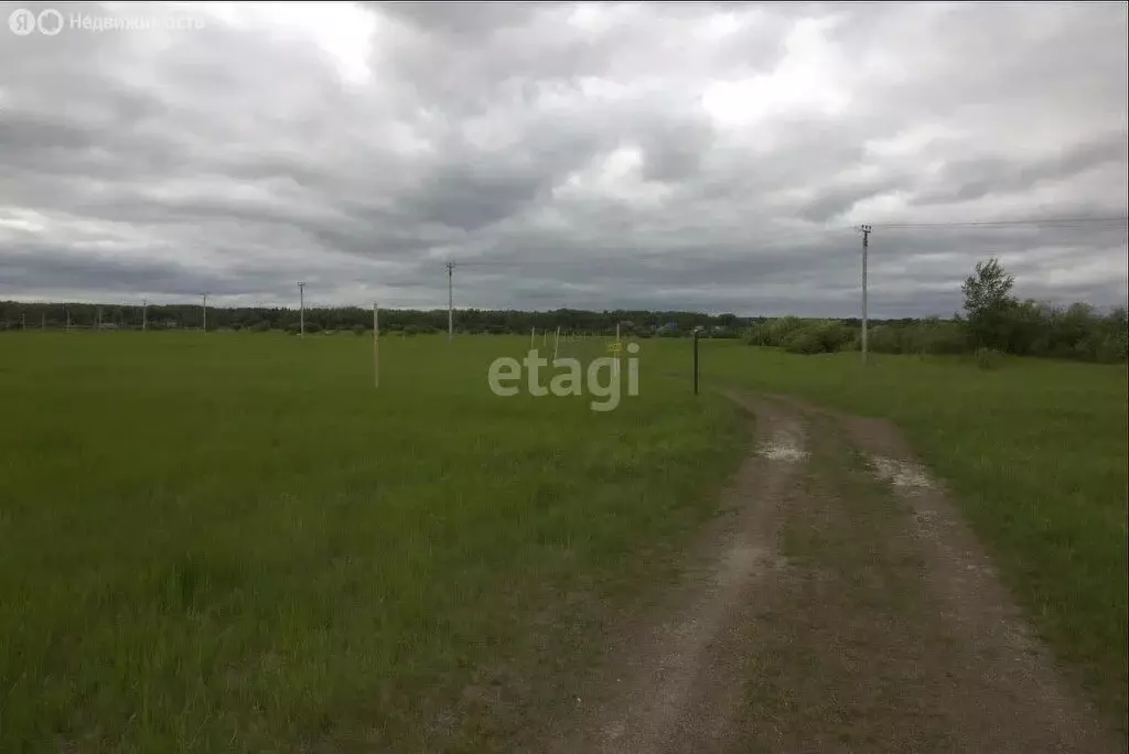 Участок в Тюменский район, деревня Коняшина (5 м) - Фото 1