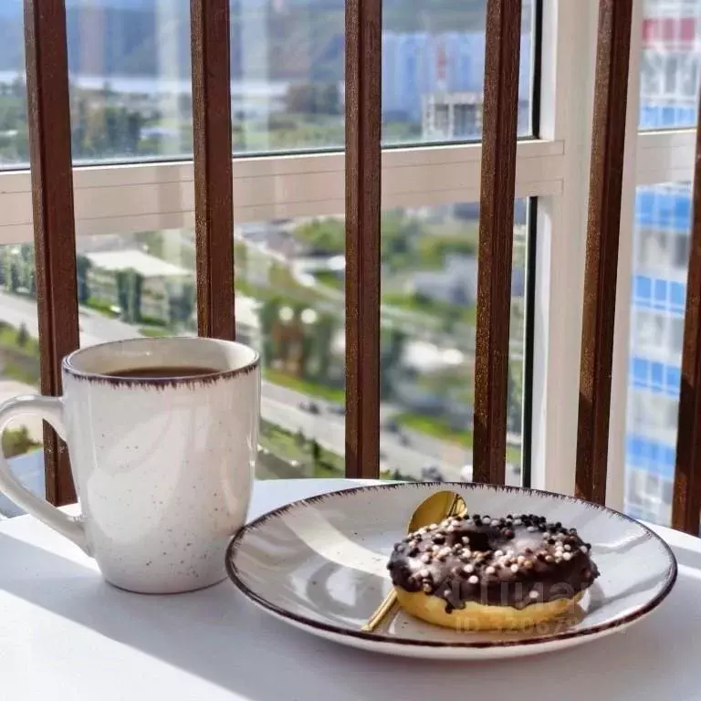 1-к кв. Красноярский край, Красноярск Ключевская ул., 83 (31.0 м) - Фото 1