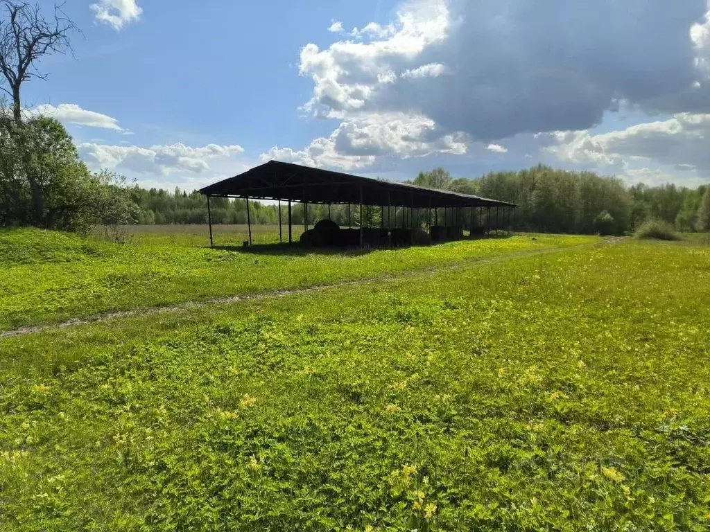 Дом в Тверская область, Торжокский муниципальный округ, д. Новое ... - Фото 2