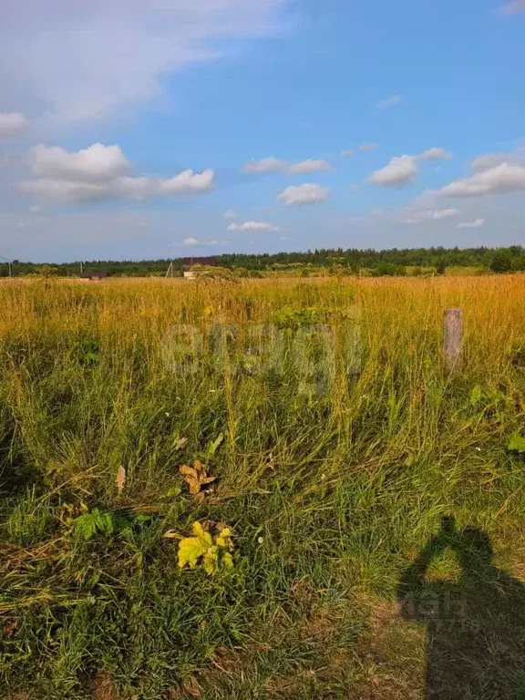 Участок в Коми, с. Усть-Кулом  (10.74 сот.) - Фото 2