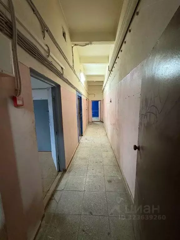 Офис в Московская область, Ленинский городской округ, с. Остров ул. ... - Фото 1