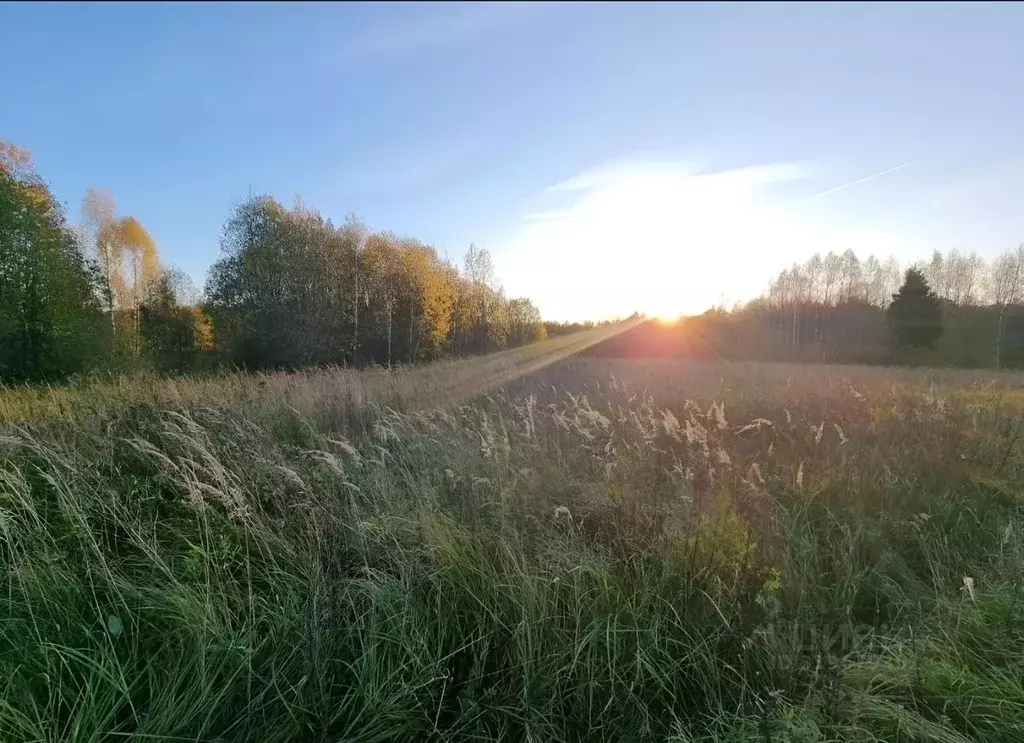 Участок в Московская область, Сергиево-Посадский городской округ, д. ... - Фото 0