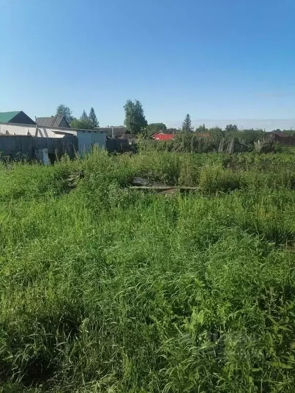 Участок в Омская область, Омский район, с. Пушкино ул. Ленина (9.0 ... - Фото 1