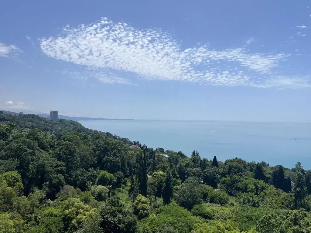 2-к кв. Краснодарский край, Сочи Приморье мкр, ул. Есауленко, 6Ак2 ... - Фото 1