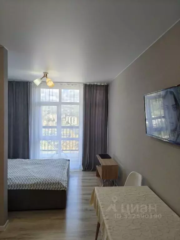 Студия Краснодарский край, Сочи городской округ, Дагомыс пгт ул. ... - Фото 2