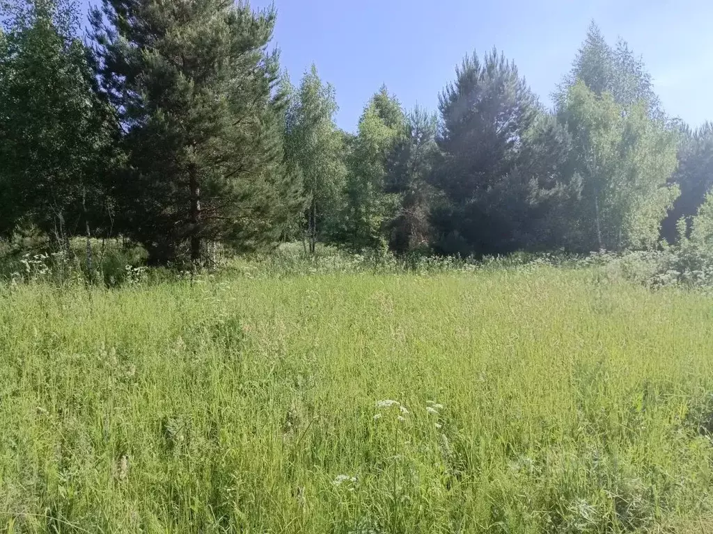 Участок в Московская область, Кашира городской округ, д. Малеево  ... - Фото 1
