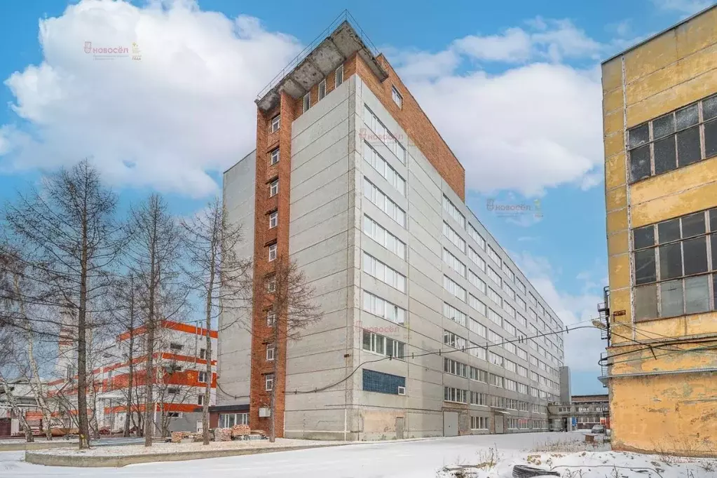 Производственное помещение в Свердловская область, Екатеринбург ул. ... - Фото 1