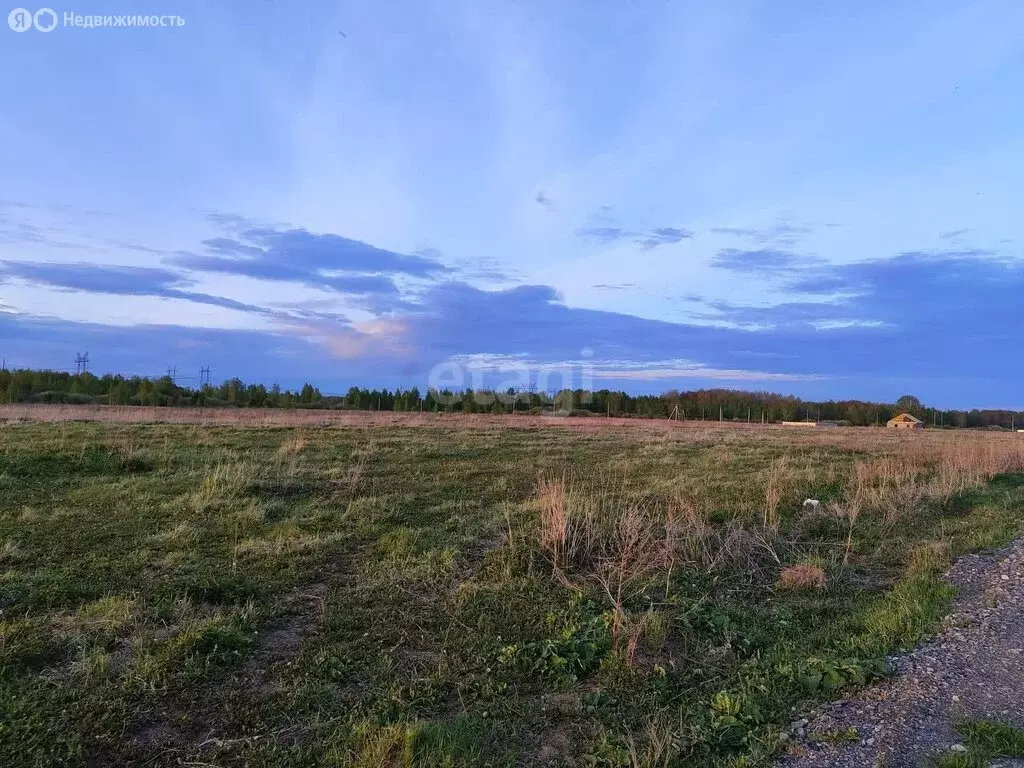 Участок в Тюменский район, село Борки (15 м) - Фото 0