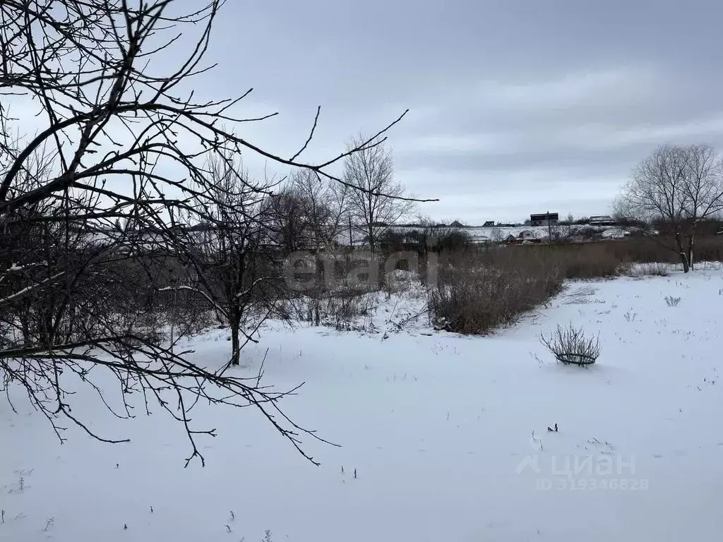 Участок в Воронежская область, Поворинский район, с. Рождественское ... - Фото 1