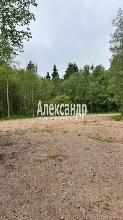 Участок в Ленинградская область, Приозерский район, Ларионовское ... - Фото 1