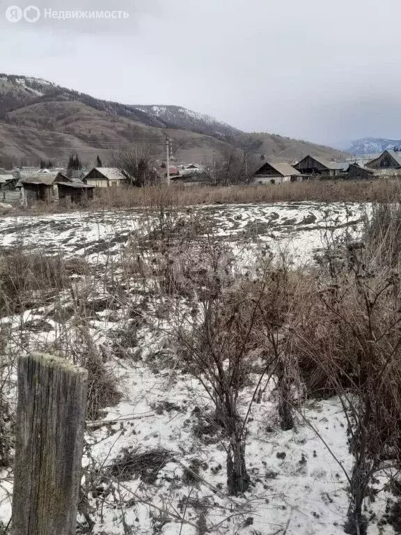 Дом в село Усть-Кокса, улица Сухова, 22 (41.7 м) - Фото 1