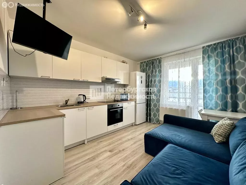 Квартира-студия: посёлок Шушары, Старорусский проспект, 13к1 (20.7 м) - Фото 2