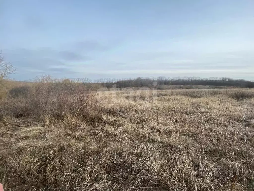 Участок в Белгородская область, Корочанский муниципальный округ, с. ... - Фото 1